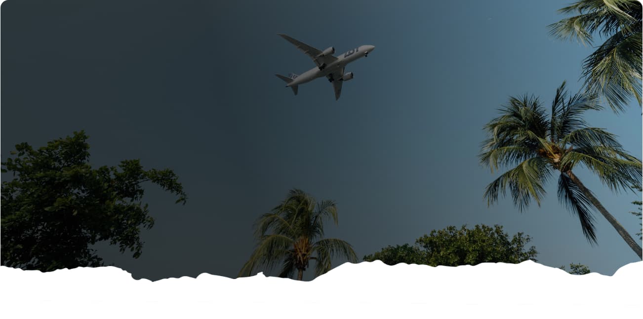 Track Your Flights On The Go!